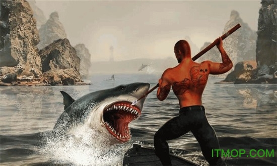 猎杀鲨鱼游戏