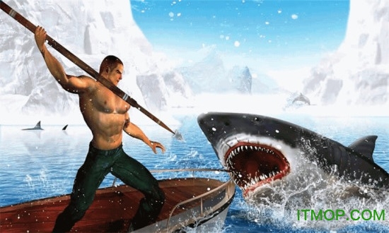 猎杀鲨鱼(Shark Hunting)