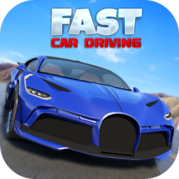 快速汽车驾驶模拟器(Fast Car Driving)