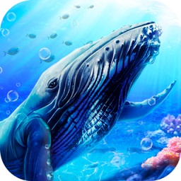 蓝鲸海洋生物模拟3d游戏