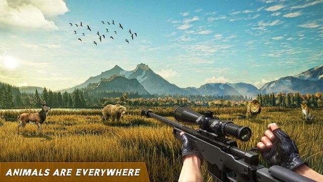 野生射击狩猎(Wild Shooting Hunting Games 3d)
